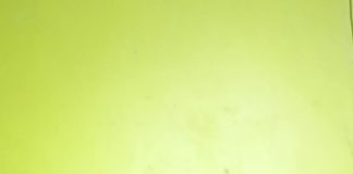 Advokat P. K. Simonda : Senator Filep Wamafma Lakukan Dugaan Tindak Pidana, Mabes Polri Segera Bertindak