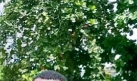 Ketua GMNI Tambrauw Agustinus Yekwam Desak Polda PBD Segera Lidik Ketua Pokja Adat MRP PBD Terkait Rp. 10 Miliar